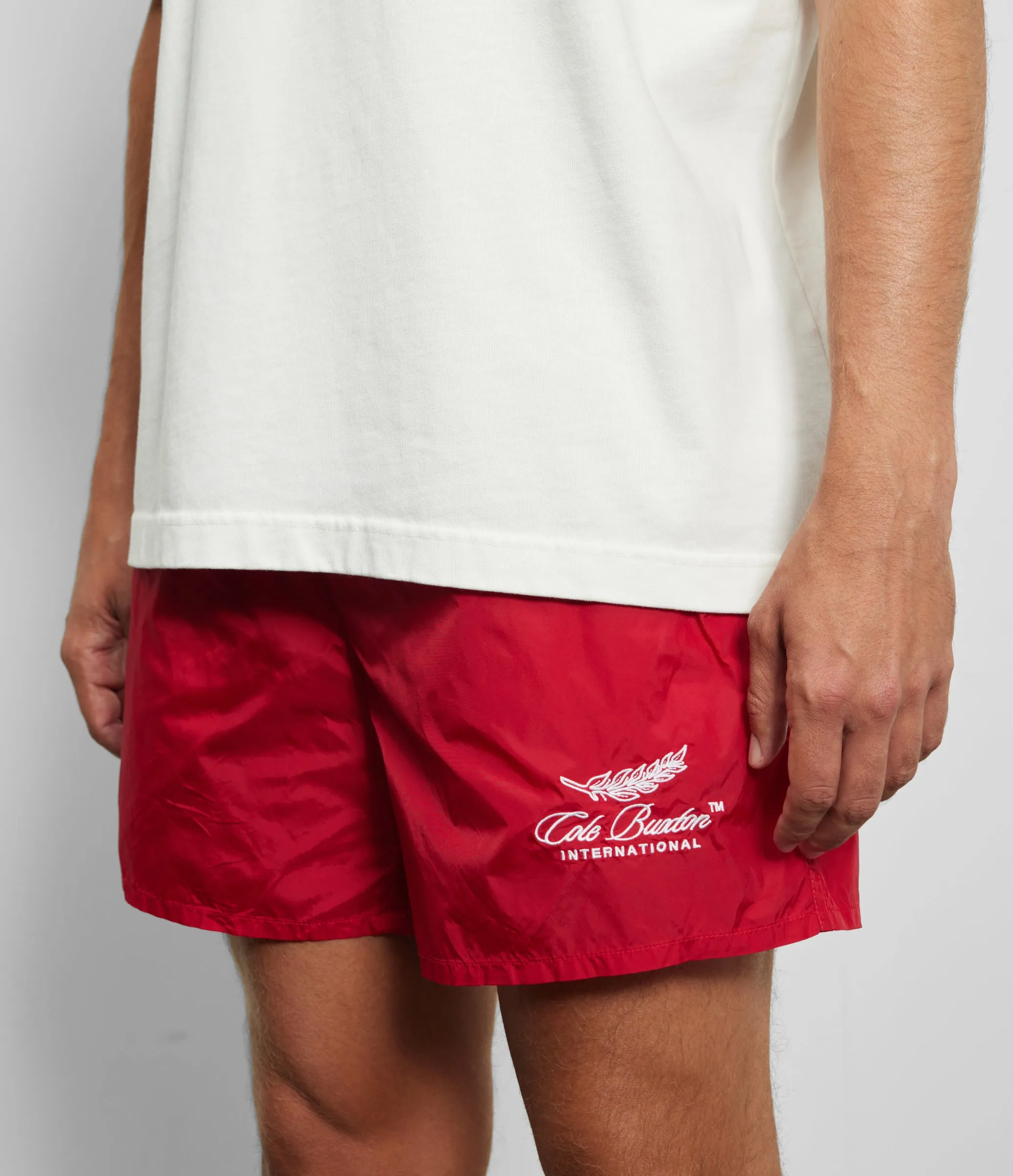 INTERNATIONAL SWIM SHORTS