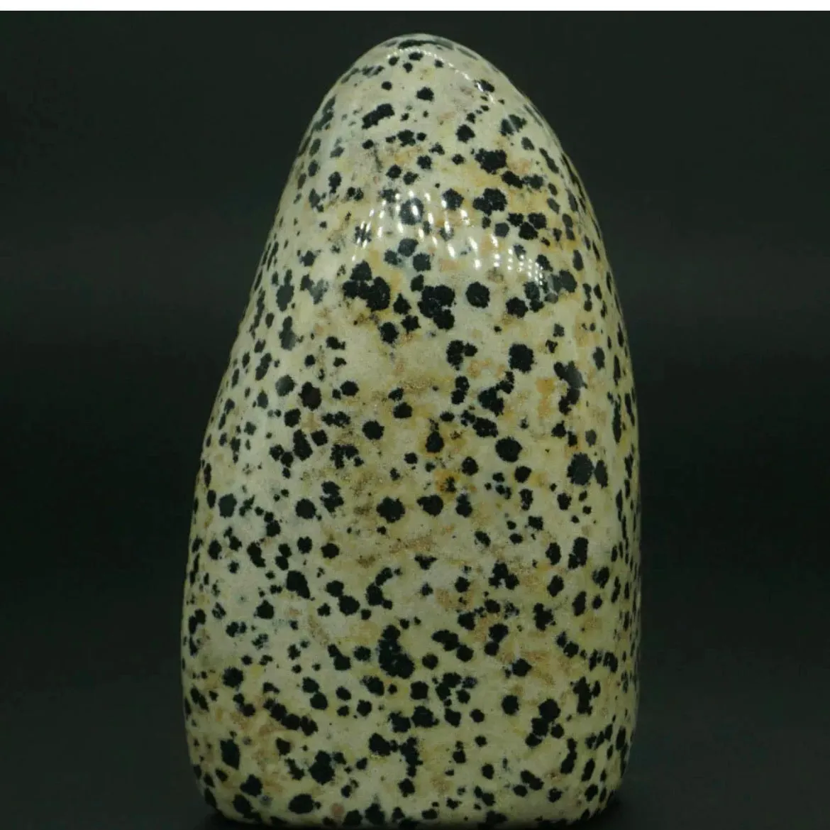 Natural Dalmatian Jasper gemstone