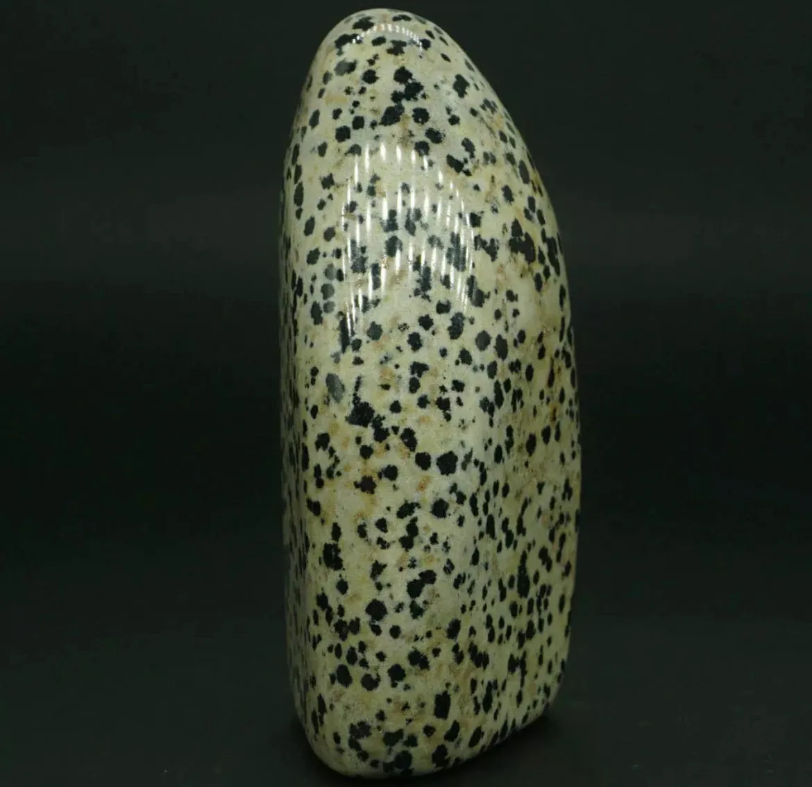 Natural Dalmatian Jasper gemstone