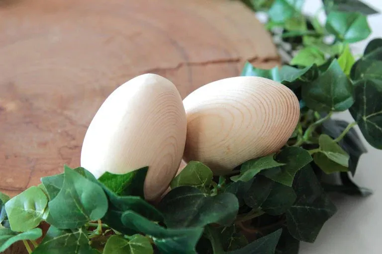 Natural Egg Shakers