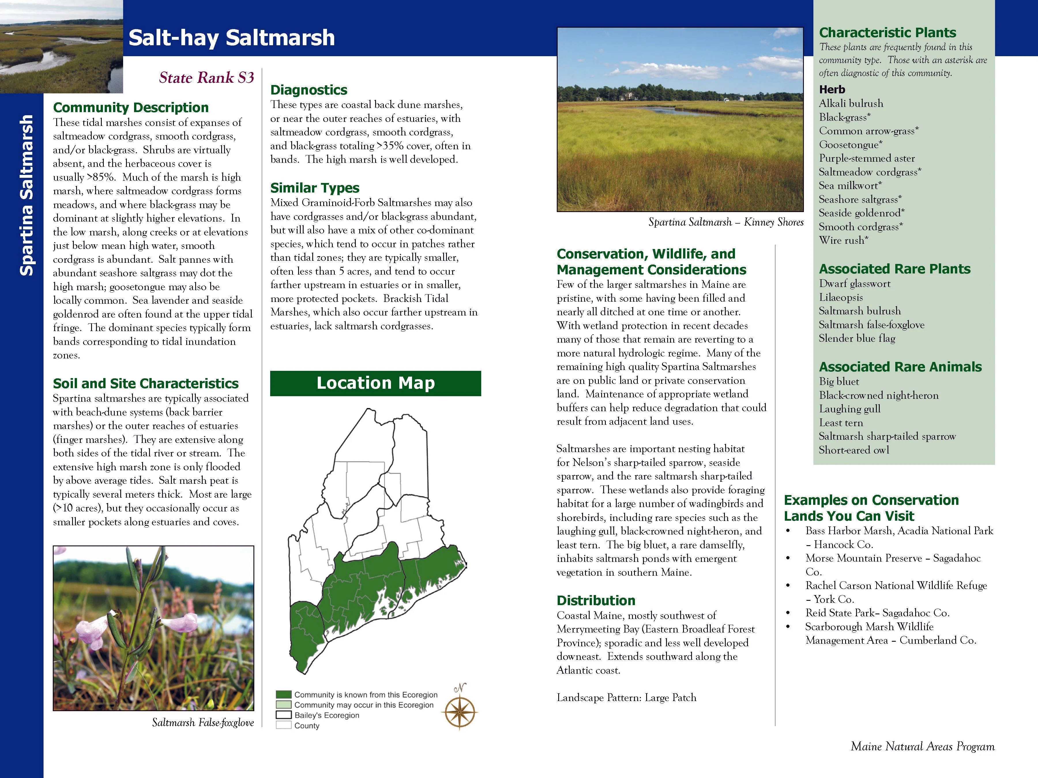 Natural Landscapes of Maine: A Guide to Natural Communities and Ecosystems